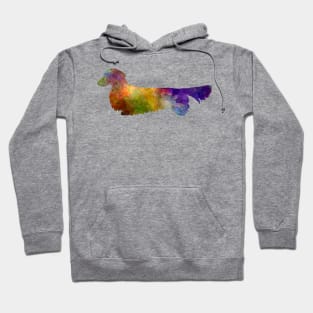 Dachshund Long Haired  in watercolor Hoodie